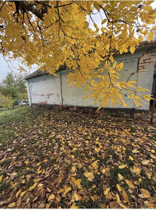 Будинок під дачу чи гарна територія під забудівлю