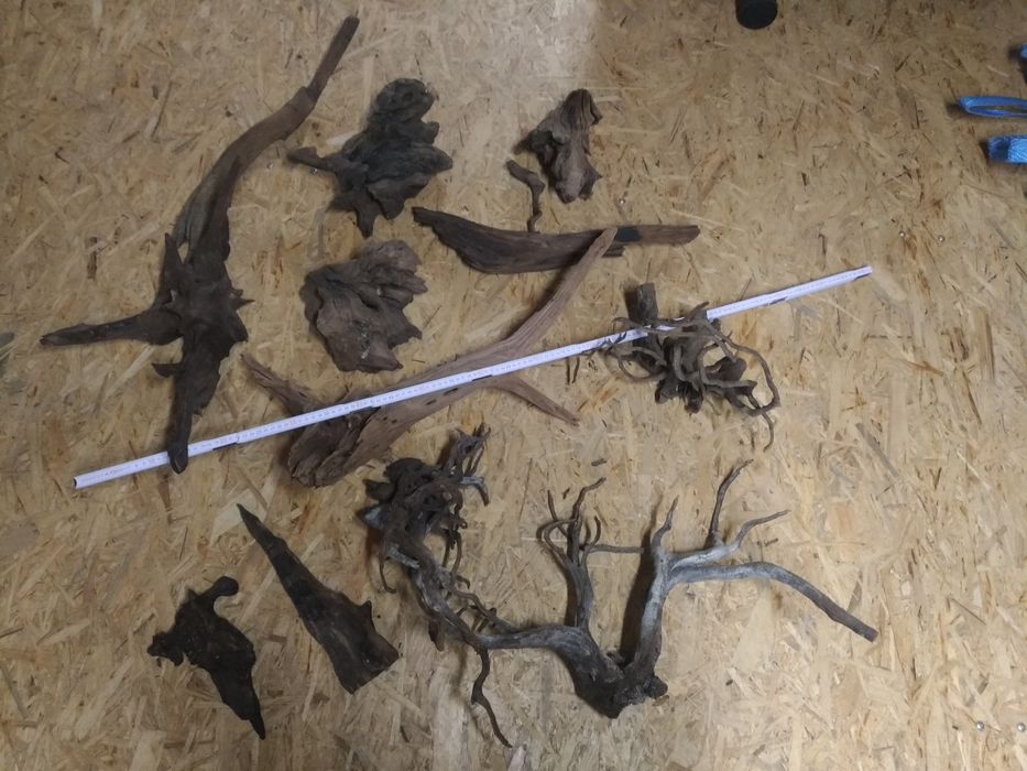 Korzenie do akwarium