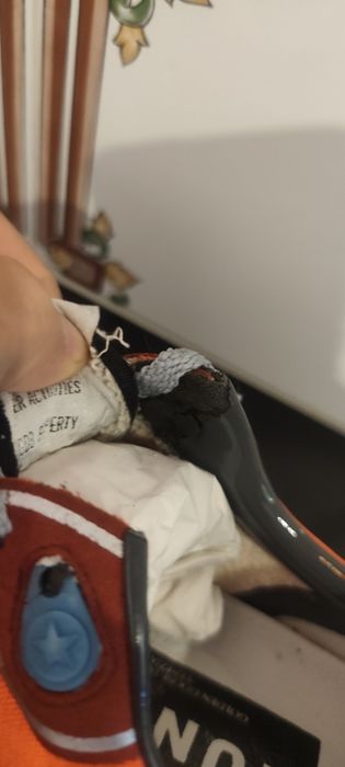 Golden goose, running