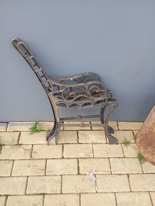 Vendo pés de brancos muito bonitos bom estado