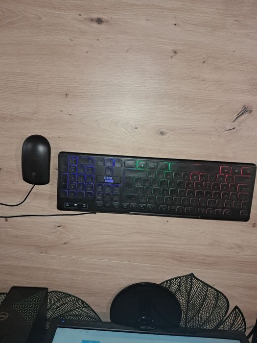 Dell Vostro 3710 + monitor Asus