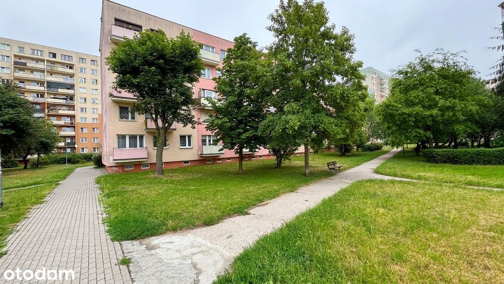 3 pok.61m2/Rąbin/Atrakcyjna Cena/Lokalizacja/Świetny widok na okolicę