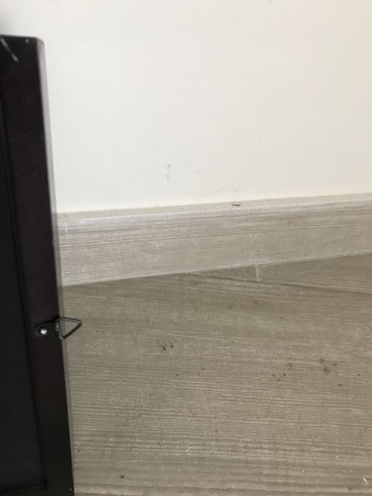 Photo Frame64739852101889123