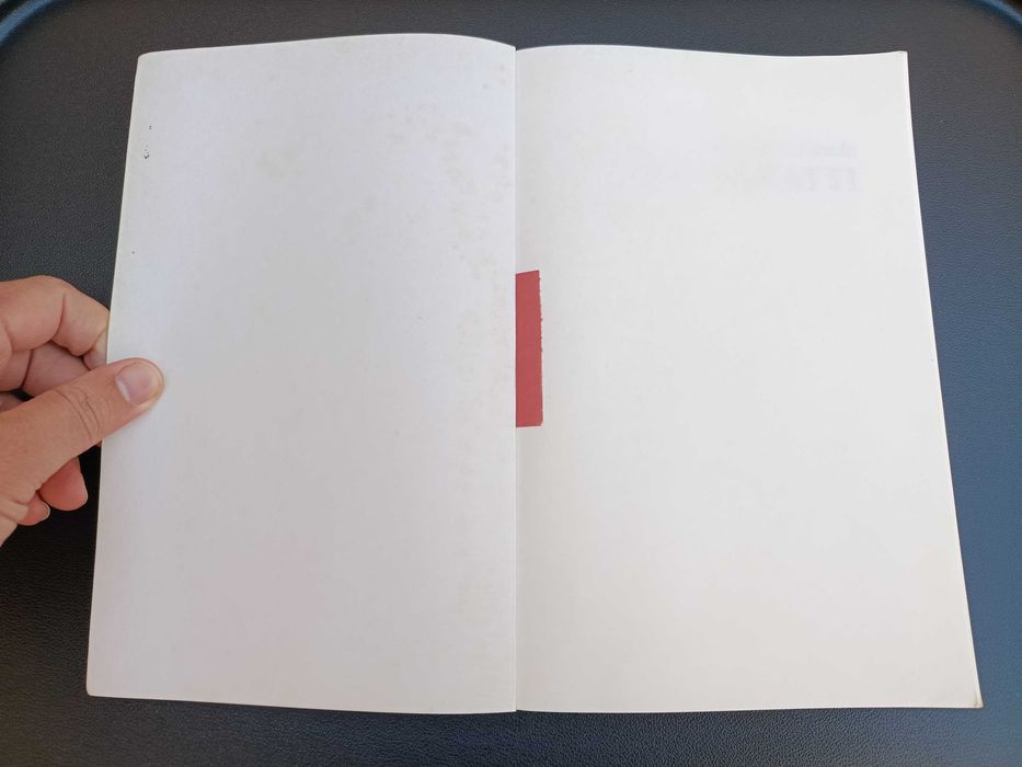 Livro "Os Sinais do Medo", Ana Zanatti