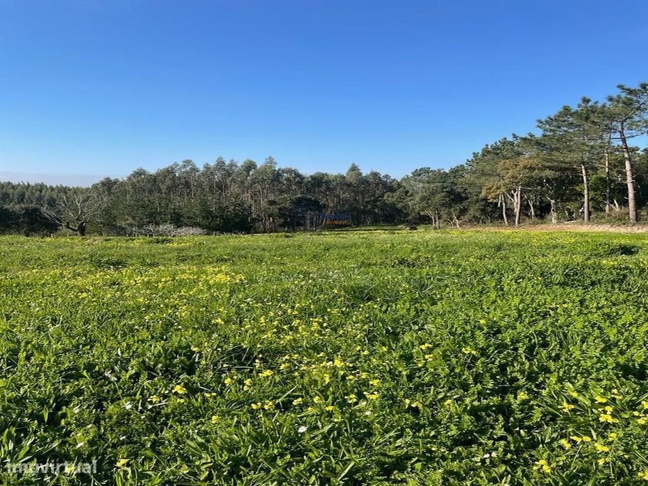 Terreno Viabilidade de Construção Moradia unifamiliar Alfeizerão