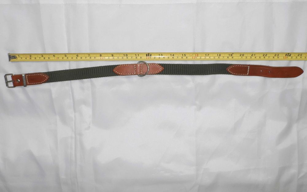 Нашийник для собаки