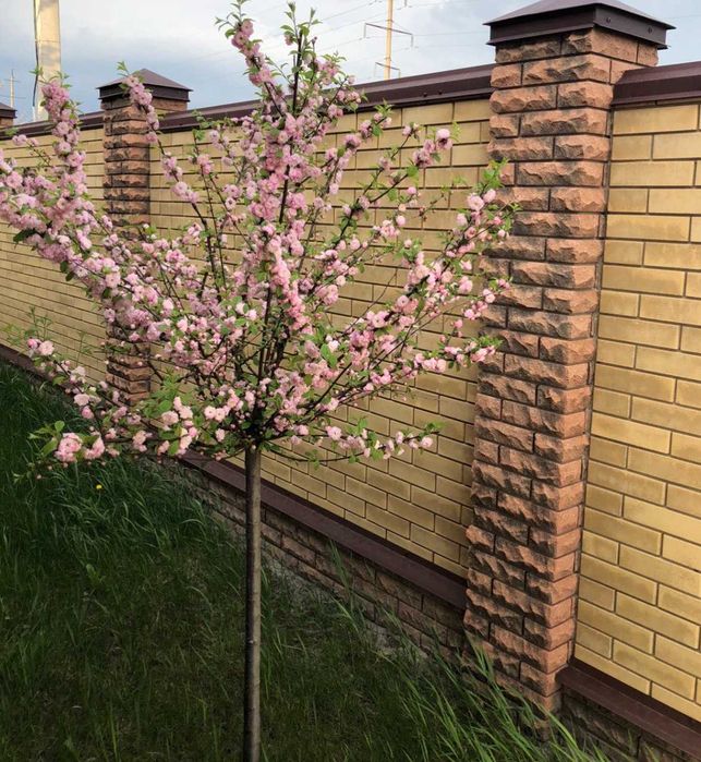 Продам земельный участок 15 сот с домиком 36 кв.м. в Родичах