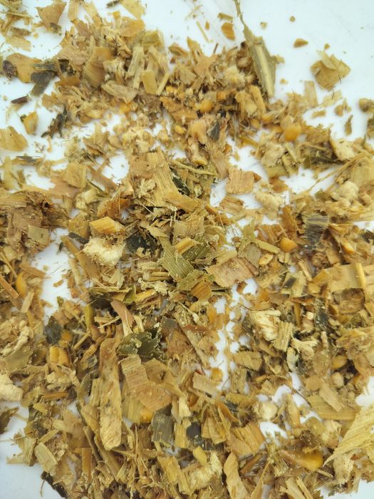 Kiszonka z kukurydzy w belach