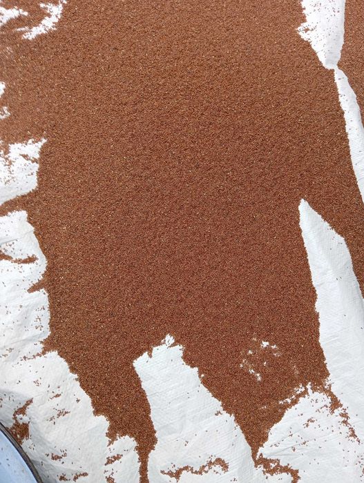 babka lancetowata nasiona 2025