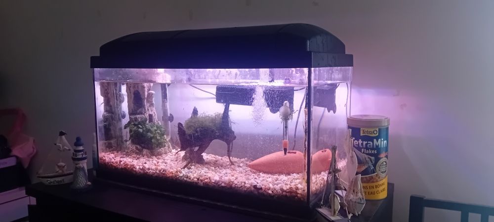 Aquário 60 l Completo