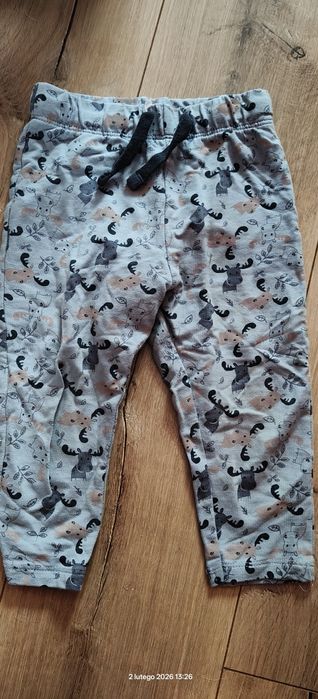 Spodnie dresowe chłopięce 74-80 Lupilu