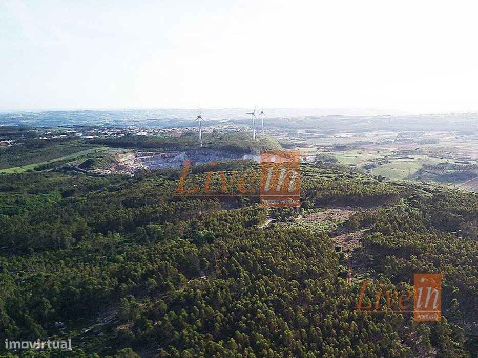 Terreno Rústico com 55680 m² na Lourinhã — São Bartolomeu Dos Galegos E Moledo, Lisboa