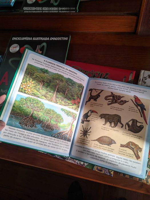 Conjunto Livros "Mini-sabichão"