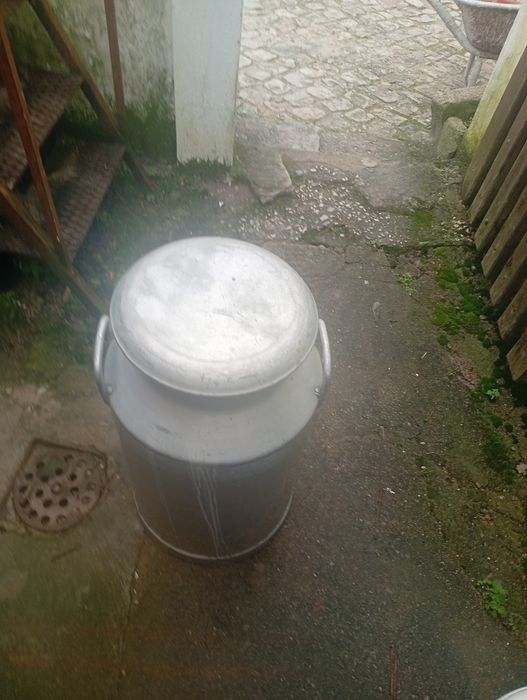 Leiteira ( reservatório para leite)