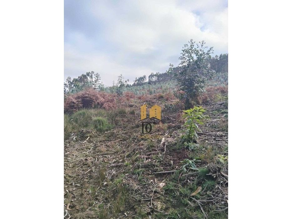 Terreno florestal em Rates