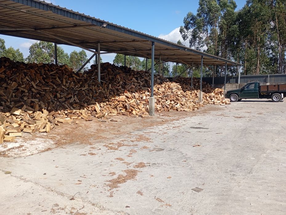 Lenha  para lareiras recuperadores salamandras