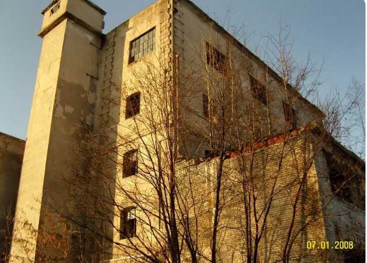 Na wynajem hale, magazyny, pomieszczenia biurowe, Wola Krzysztoporska