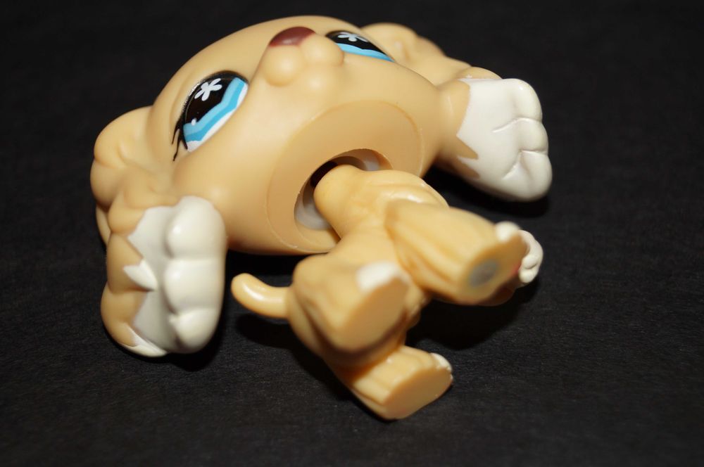 Littlest Pet Shop #748 spaniel LPS pop oryginał 100% oryginalny