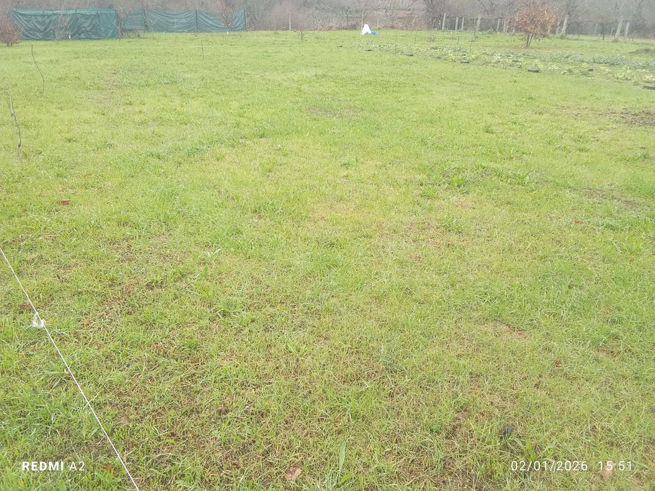 Terreno para cultivo aluguer