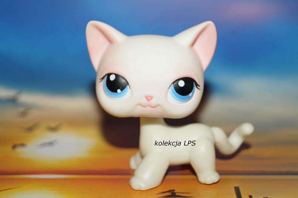 LPS Littlest Pet Shop shorthair #64 oryginalny kotek oryginał pop