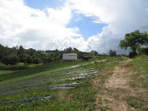 Propriedade agrícola