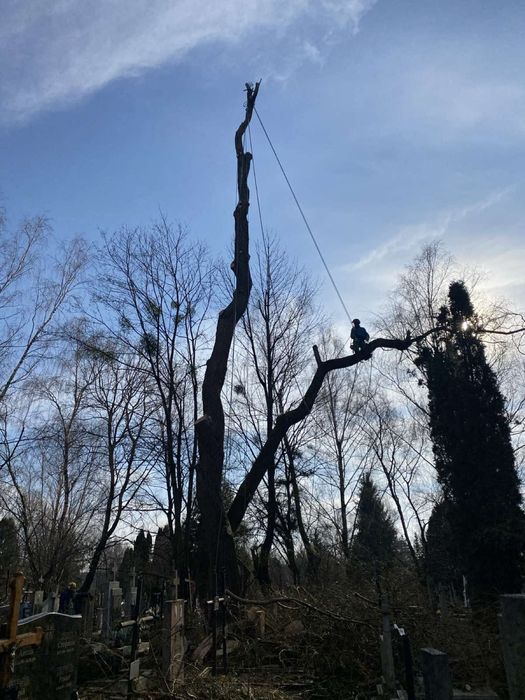 Зрізання та обрізка дерев,зрізка аварійних,заввиших дерев,