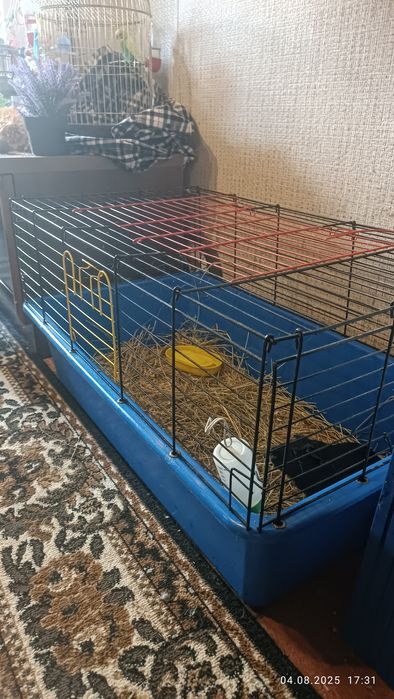Клетка для кроликов ( грызунов)