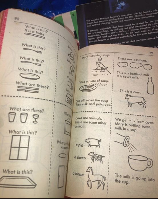 O livro básico de inglês