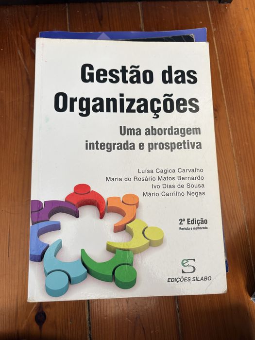 Gestao das organizações