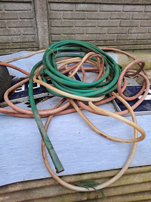 Kaczka  do oczka wodnego