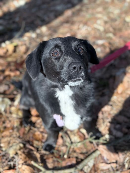 Młoda, urocza Omulew szuka rodziny na zawsze