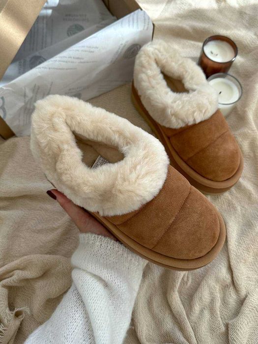 ЗНИЖКА‼️ 39 (25см) UGG Tazzlita Chestnut уггі угг зимові замшеві угі
