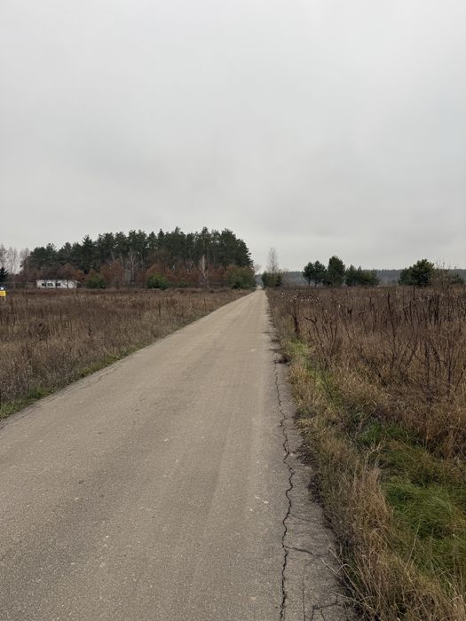 Земельна ділянка 4 га с Березівка.