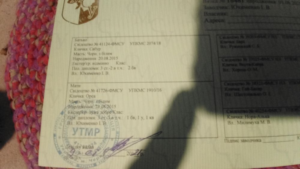 Продам Рел лайку