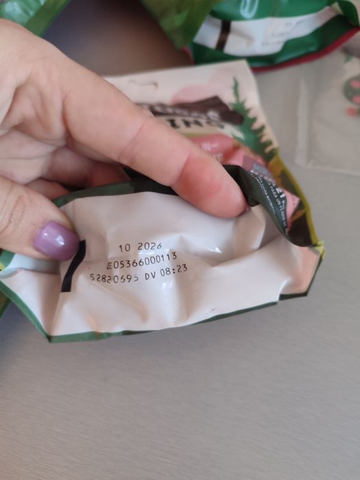 Conjunto de biscoitos para cao