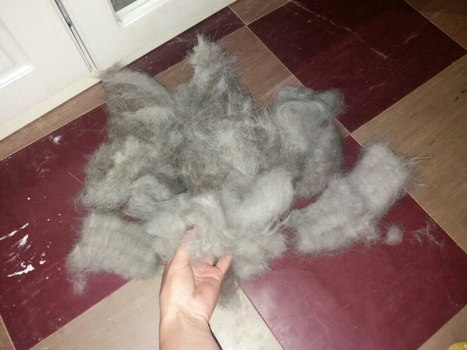 Изделия из собачьей шерсти