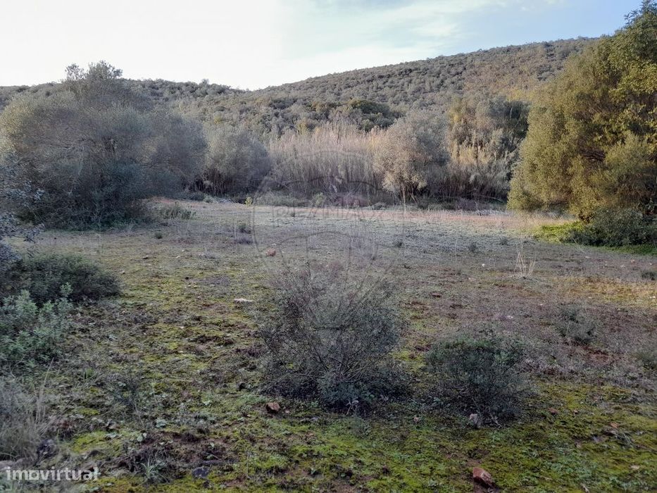 Terreno  para venda