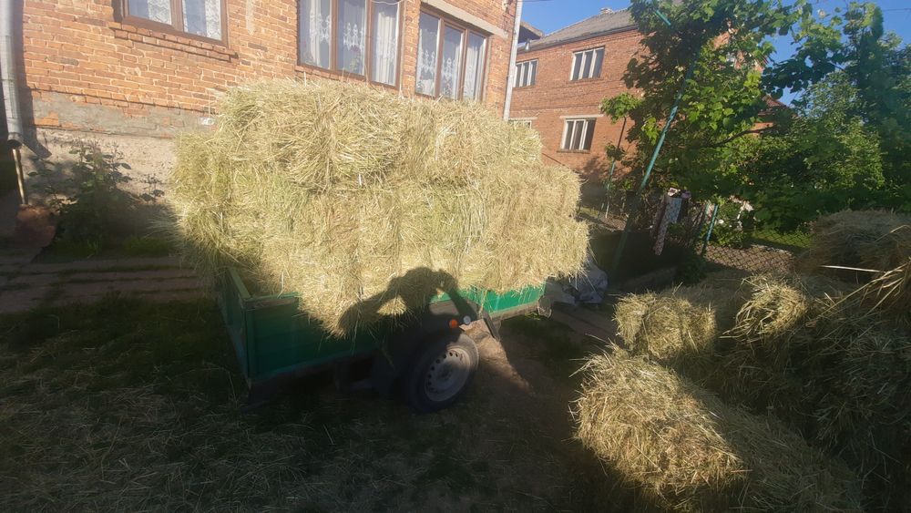 Сіно,' ⁸ у тюках 2025 року. 80 гр Приймаю замовлення на люцерню  .