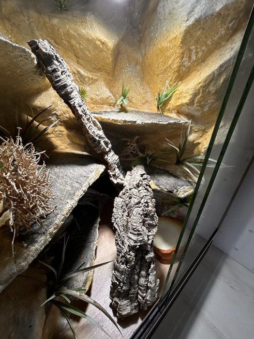 Duże terrarium 85 × 60 × 52,5 cm – kompletne wnętrze