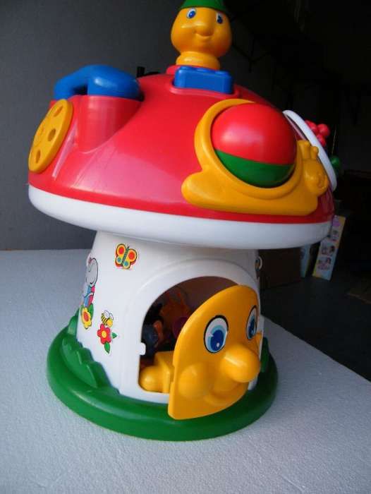 Cogumelo Actividades