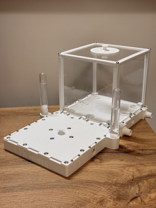 Zestaw terrarium formikarium dla mrówek 15x15
