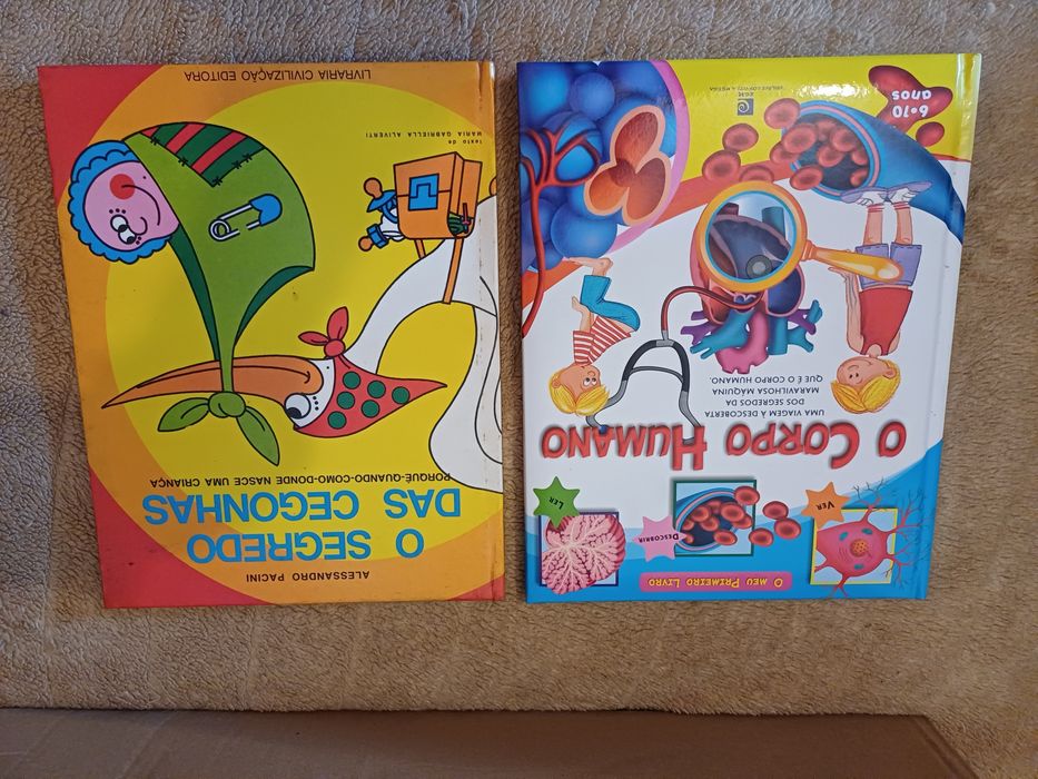 Conjunto 2 livros infantis
