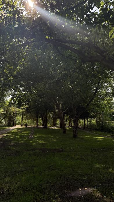 Dzialka ROD Mokotów/Warszawa 600m2