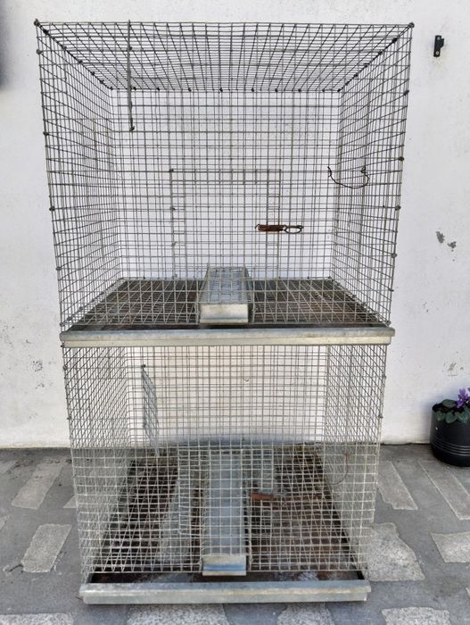 Gaiola de criação para bico curvo