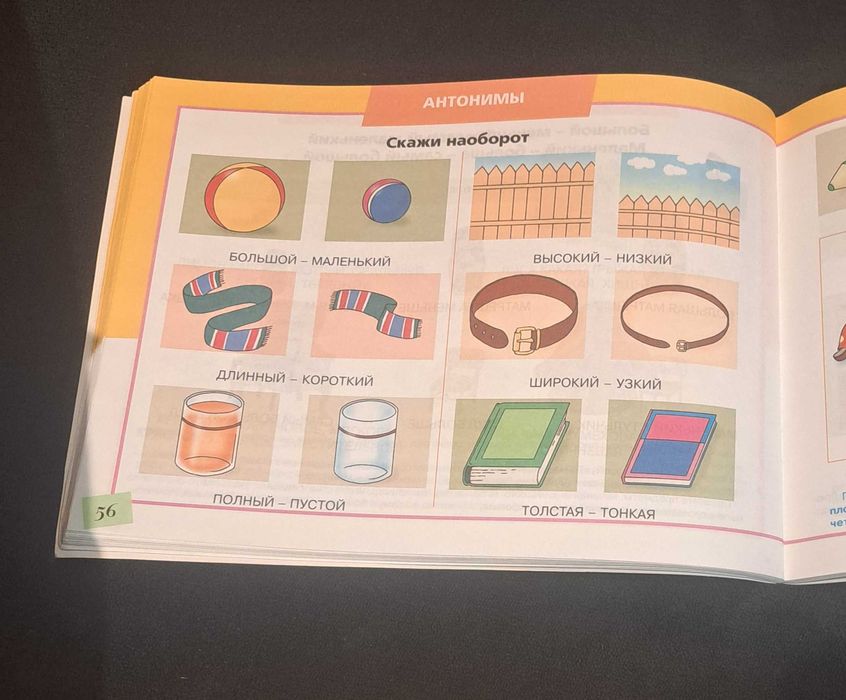 Książka Альбом по развитию речи. Говорим правильно/po rosyjsku