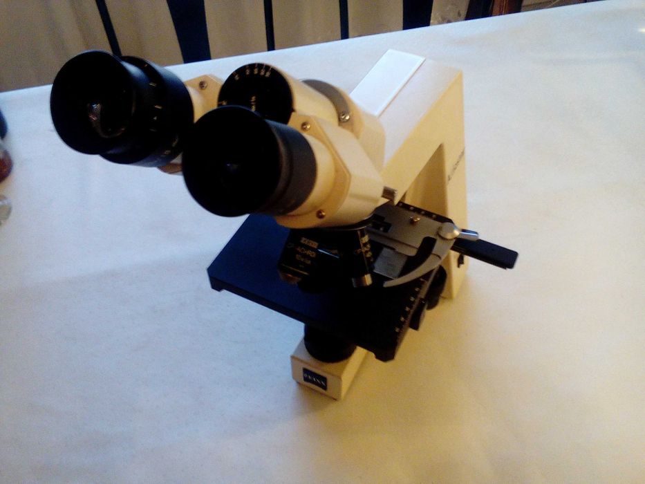 Microscopio semi profissional