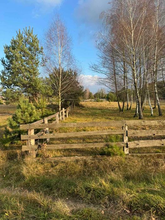 Земельна ділянка, с. Туринка