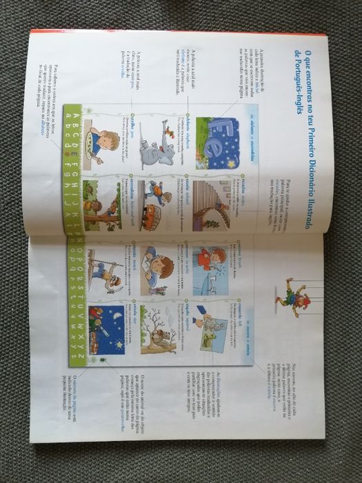 Dicionários ilustrados Português-Inglês