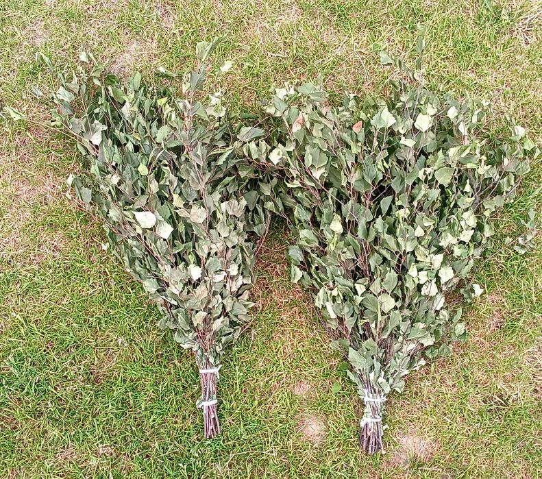 Witki brzozowe,  dębowe do sauny,  saunowanie, sauna, brzoza, dąb,  80 cm
