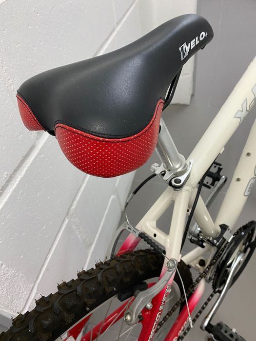 Bicicleta BERG - roda 24"